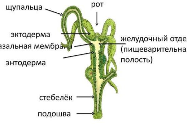 Кракен даркнет зеркало