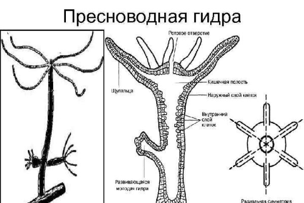 Кракен ссылка призыва нет