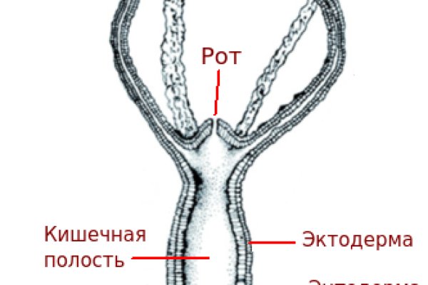 Кракен маркет тор