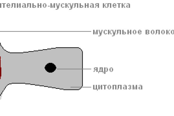 Kraken 14 at сайт